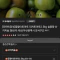 부산 대저짭짤이토마토 정품 2s~3s 특품(27900원/무배)2
