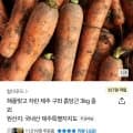 제주 구좌 흙당근 3kg 중 (9,900원/무료)