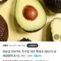 아보카도 대과 6과 (8,900원/멤버십무료)