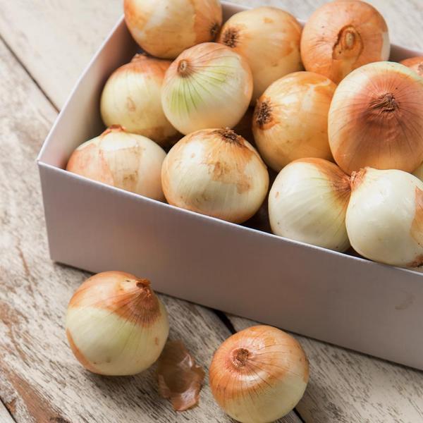 고흥 햇 양파 3kg 소 (5,490원/무배)1