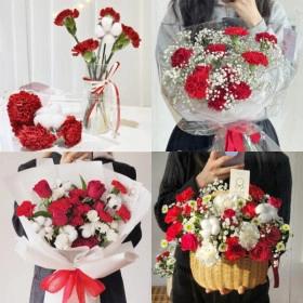 어버이날 카네이션 생화4송이+목화1송이 (7,920원/무료)6
