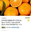 제주 카라향 2kg 중소과 14-20과(13,900원 / 무배)