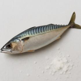 국내산 손질 자반 고등어 12마리 (2kg~2.5kg 내외) (11,850원/무료)2