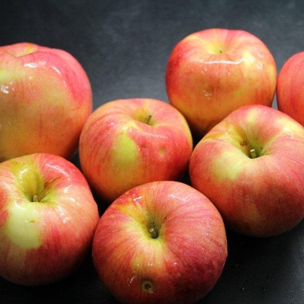 산지직송 부사 9kg 중대과 (페이코 33,979원/무료)1