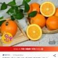못난이 오렌지 캘리포니아산 대과 30과~35과(8KG/1BOX)(23,100원/무료)2