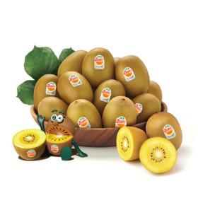 제스프리 골드키위 2.6kg 중대과 (카드19,860원/무배)