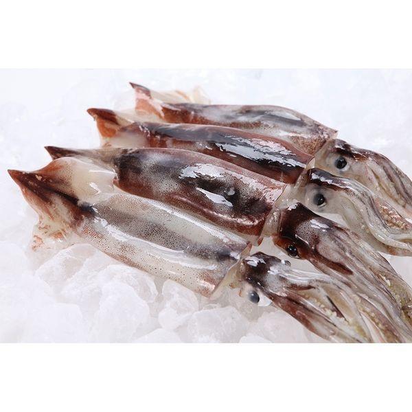 원양산 총알 오징어 1kg (9~13미내외) (12,580원/무료)