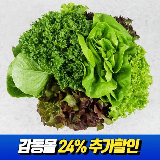 코인딜) 유럽형 샐러드 쌈채소 1kg 5~6종 (3,723원/무료)