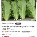 논산 청상추 농가직송 아삭이 1kg (5,900원) (무배)1