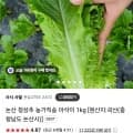 논산 청상추 농가직송 아삭이 1kg (5,900원/무배)