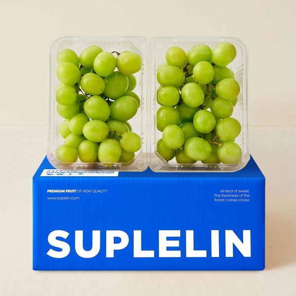 새콤달콤 손이 가는 어텀 크리스피 애플 청포도 2kg (1kg*2팩) (15,630원/무배)7