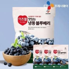 CJ 냉동블루베리 1kg 3개입(21,980원/무료)