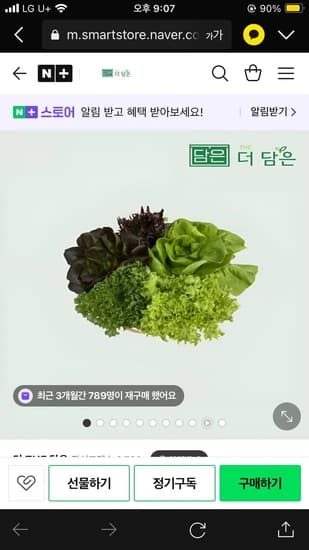 유러피안 쌈채소 샐러드 야채 1kg 5종이상 (6200원/무료배송)3