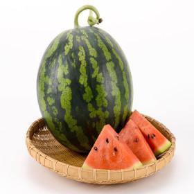 국산 가정용 하우스 수박 5~6kg (15,880원/무료)1