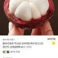 항공 직수입 프리미엄 태국 망고스틴 (12,400원/무료)4
