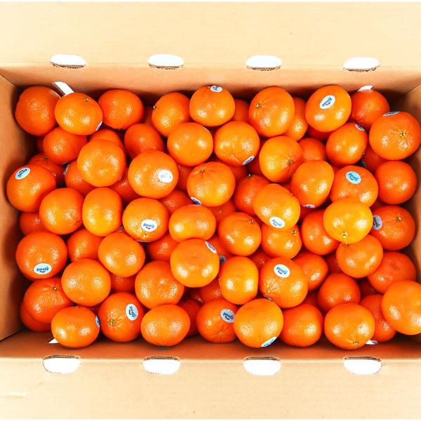 만다린 감귤 2kg (9,900원/무료)4