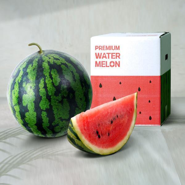 국내산 당도 선별 수박 6kg (14,960원/무배)3