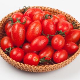 대추방울토마토 2kg(로얄과 1-3번과) (8,820/무배)1