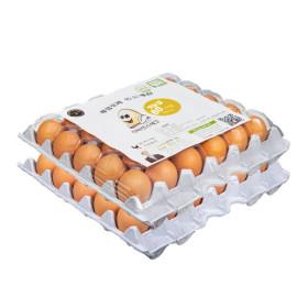 닥터안스에그 햇달걀 60구/중란 무항생제 (15,820원/무료)