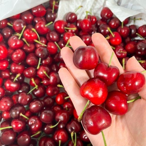 항공직송 미국 생체리 700g (10-10.5row) (12,600원/무료)