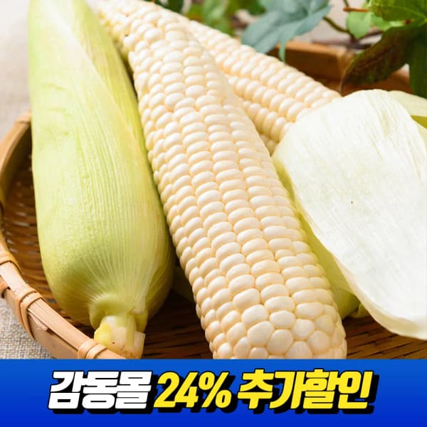 30일순차발송]25년 첫수확 찰옥수수 15cm이상 특크기 10개~30개 (8,725원/무료)