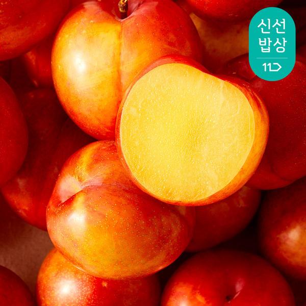 하우스 햇자두 600g [16~20과] (8,710원/무료)4