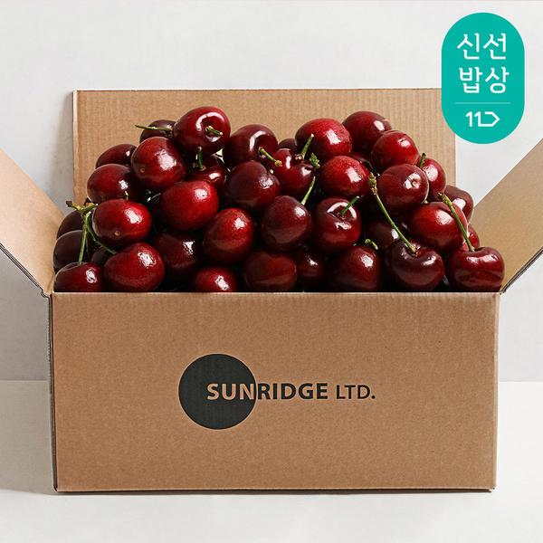 체리 26mm 10-10.5row 350g 2팩 (15,590원/무료)