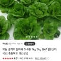 모듬 샐러드용 채소 1kg (5,500원/무료)
