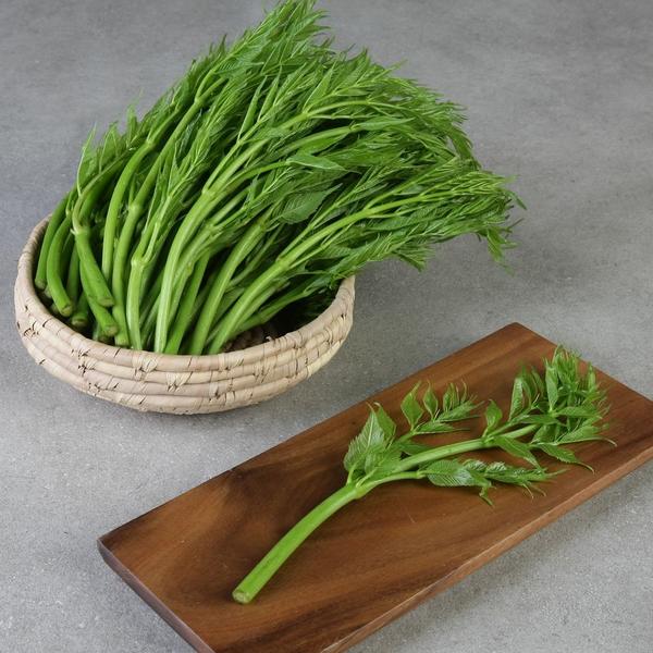 무주 반딧불 여름두릅 500g+500g 총1kg (15,390원/무료)1