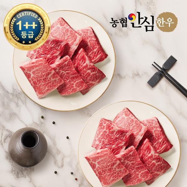 농협안심한우 1++등급 살치살 500g (250g*2팩) (49,410원/무배)2