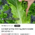 논산 청상추 농가직송 아삭이 1kg(5,400원/무배)