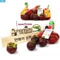 생 망고스틴 1kg+1kg (총 2kg) (19,400원/무료)5