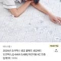 듀라텍스 냉감 쿨매트 슈퍼싱글 (26,500원/무료)
