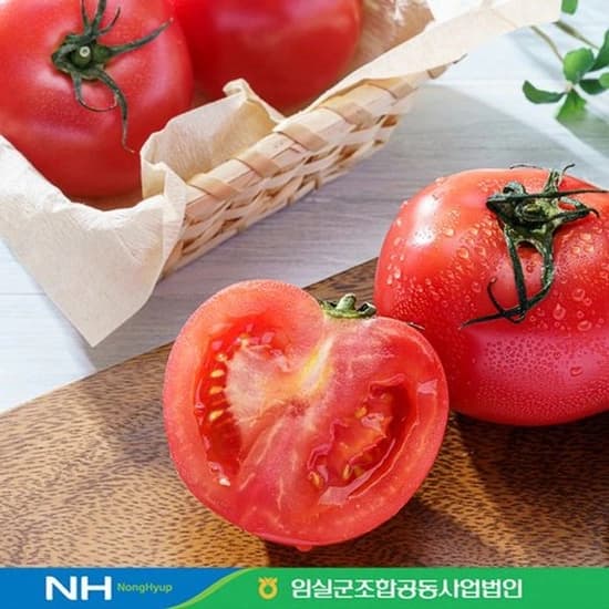완숙토마토 5kg 특등급 (11,013원/무료)7