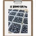 무농약 생 블루베리 왕특 1kg (250g 4팩) (35,920원/무료)