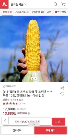 국내산 최상급 햇 초당 옥수수 10개입 (13,880원/무료)1