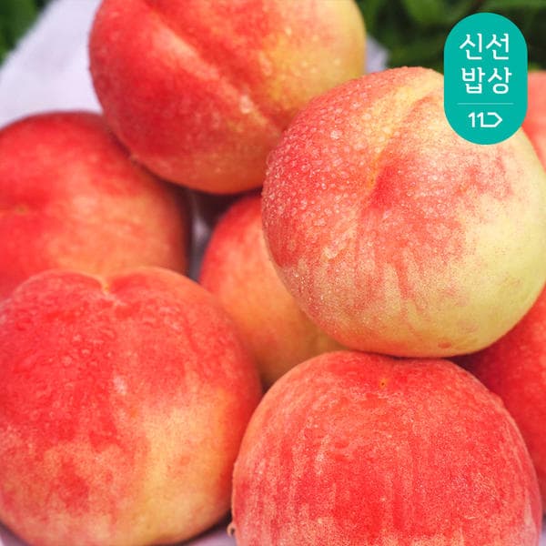 해풍맞은 고흥 명품 복숭아 황도/백도 랜덤 1.25kg (10,900원/무료)