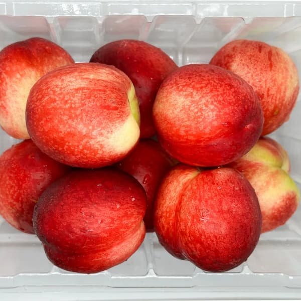산지직송 새콤달콤 신비복숭아 1kg 중대과(10과내외) (10,688원/무료)