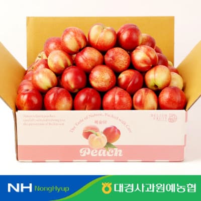 경북 햇 신비복숭아 2kg 16-20과 로얄과 (17,900원/무료)2