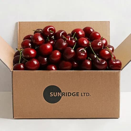 항공직송 썬리지 프리미엄 워싱턴 생체리 28mm 9.5row 대사이즈 700g(350g*2팩)(토스결제시13,900원/무배)