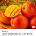 썬프레 망고복숭아 2kg (9,810원 / 무배)1