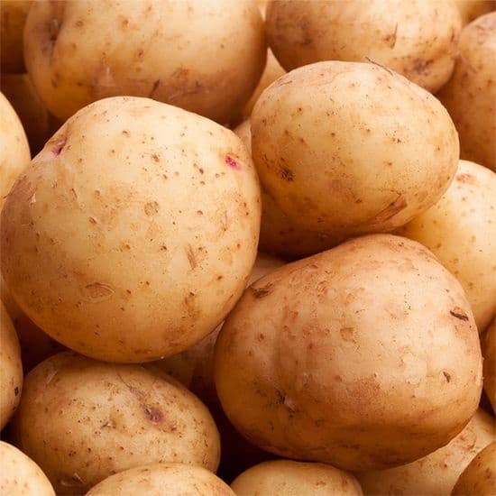 국내산 햇감자 대 10kg (14,980원/무배)