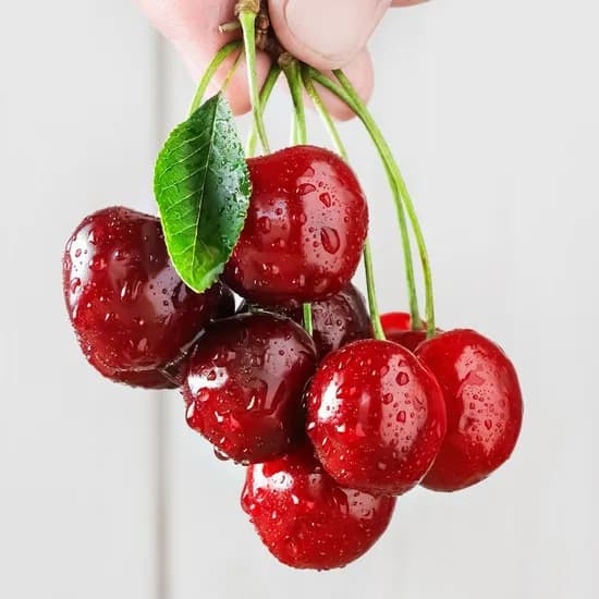 고당도 항공직송 미국산 생체리 500g (카드 9,971원/무료)4