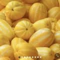 성주 꿀참외 10kg 못난이 (8,360원/4,000원)6