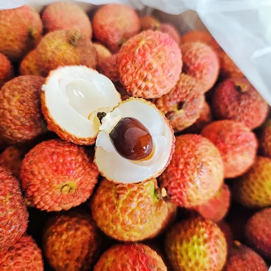 생리치 생과 리치 1kg (16,900원/3,500원)1