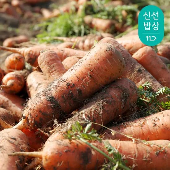 아삭달큰 경남 하우스 햇 흙당근 3kg (6,840원 / 무배)