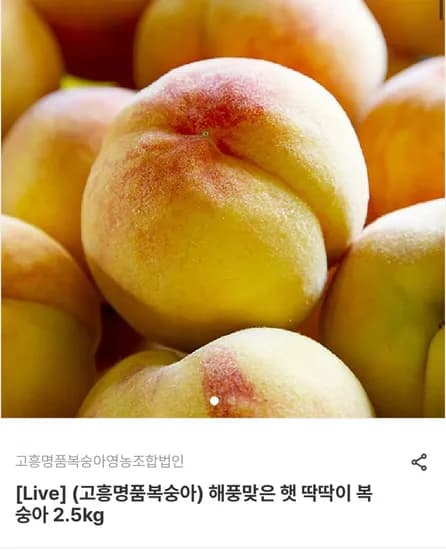 국내산 딱딱이 햇복숭아 (14,210원/무료)2