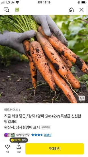 제철 당근 / 감자 / 양파 2kg+2kg (5,900원/무배)2