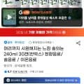 머리까지 시원해지는 느낌 솔의눈 240ml x30캔(유클14,900원/무배)5