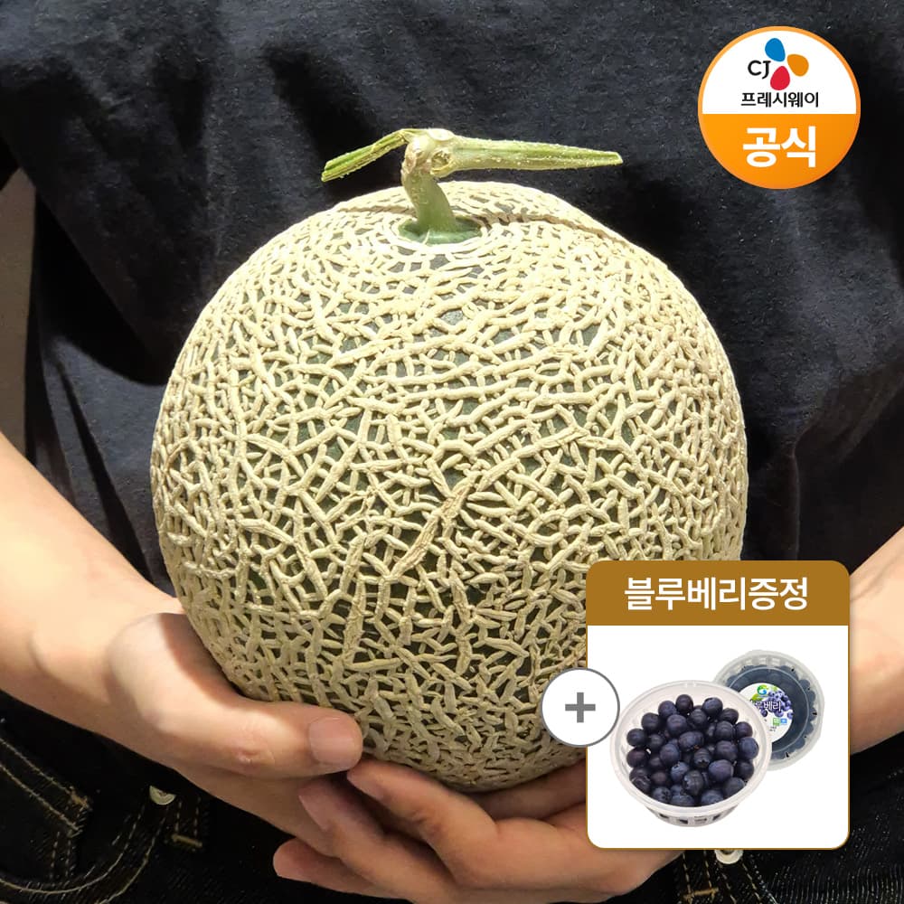 국내산 머스크 멜론 1.5kg+국내산 블루베리 100g (16,900원/무료)3